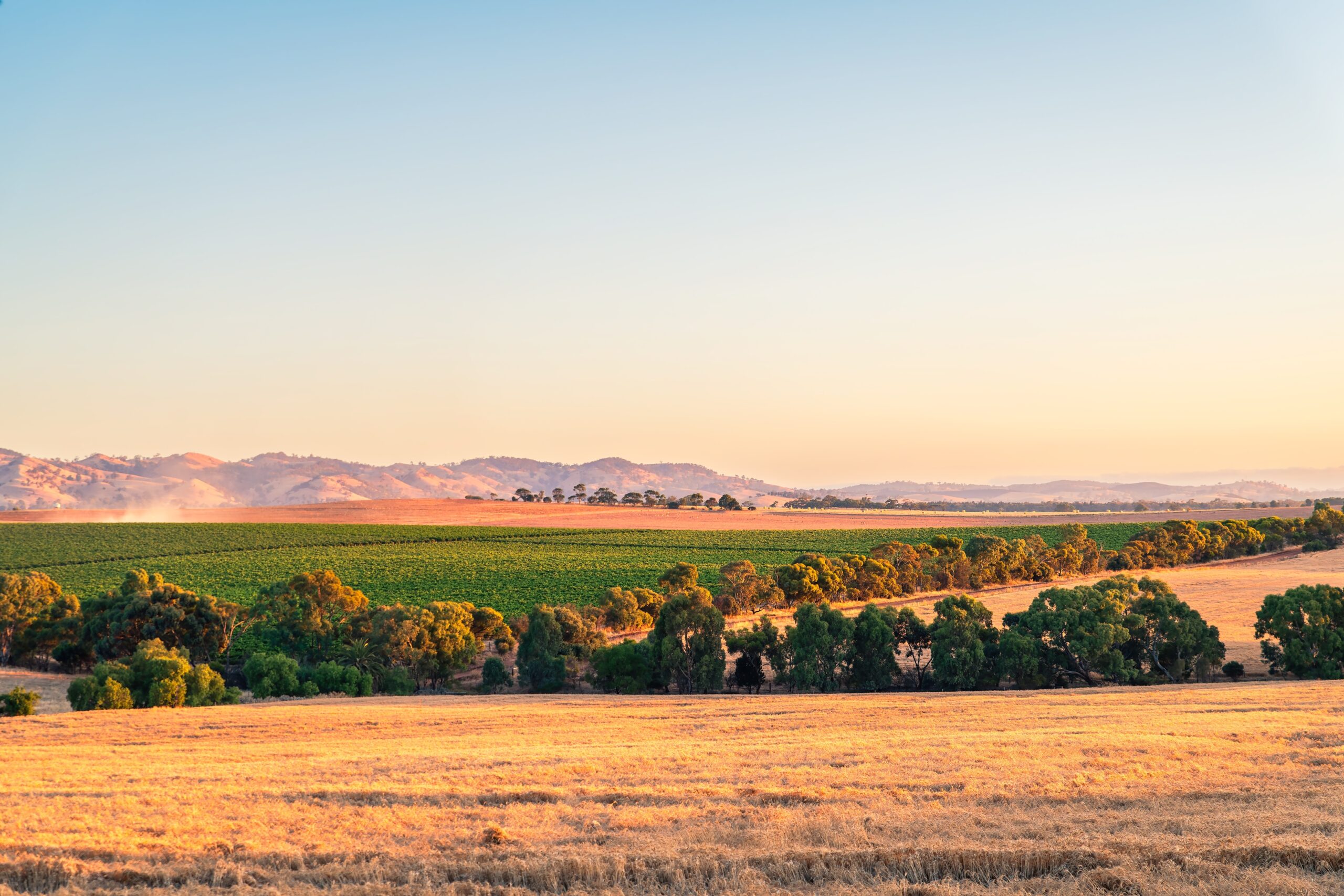 Barossa Valley, Tanunda, South Australia